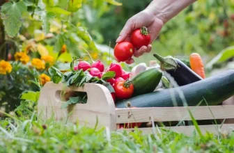 What Are the Most Cost-Effective Ways to Start an Organic Garden?