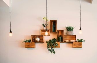 What Are the Best Indoor Plants for Interior Design?