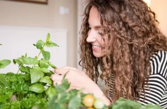 The Benefits of Indoor Gardening for Mental Health