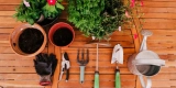 What Are the Best Indoor Gardening Tools?