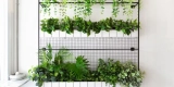How Can You Create a Vertical Indoor Garden?